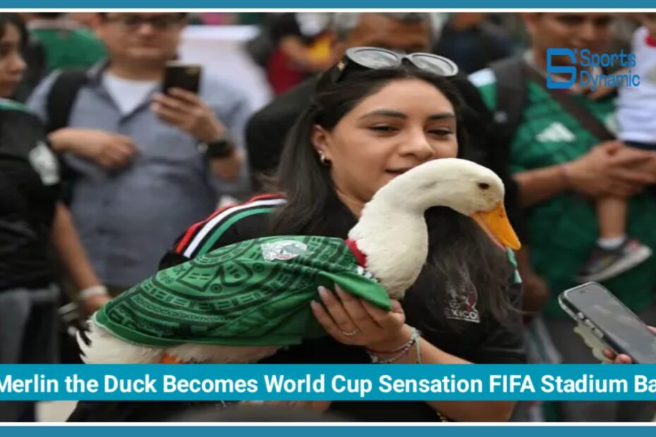 Merlin the Duck Becomes World Cup Sensation Despite FIFA Stadium Ban